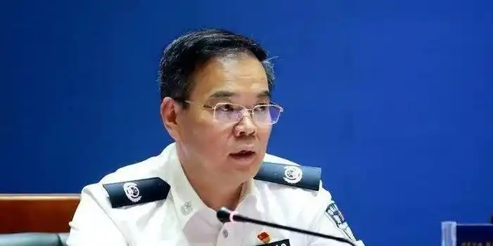 公安部副部长林锐兼新职