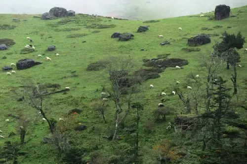 那片净土-大风顶