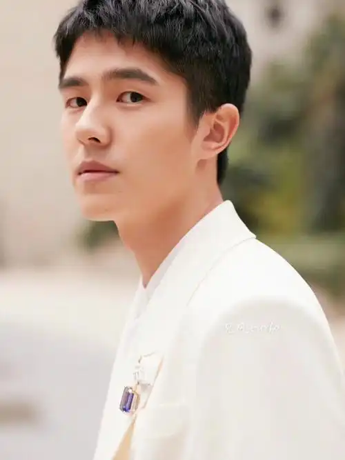 刘昊然少年明媚似阳光叫我不敢忘