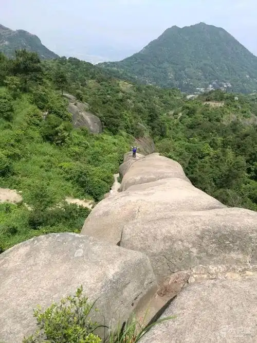 温州大罗山龙脊背