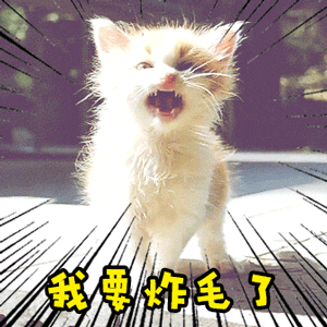 300_300gif 动态图 动图