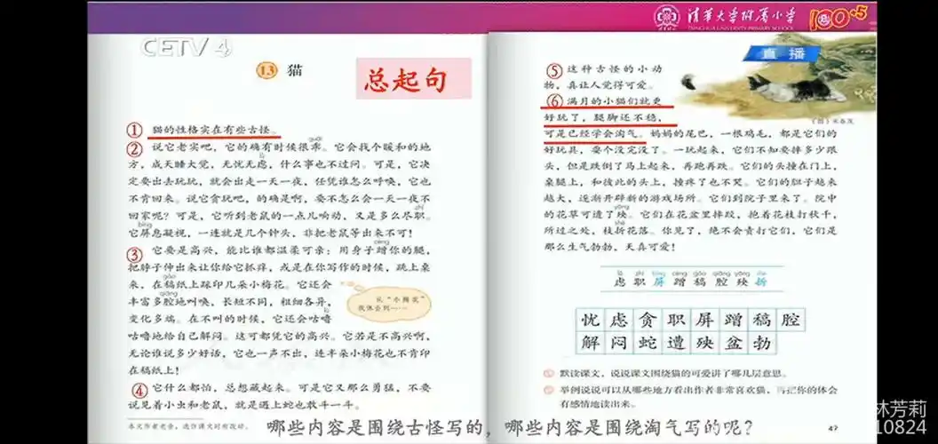 左右结构的生字 走进作者 整体梳理文章脉络 原来课文如此层次清晰 猫