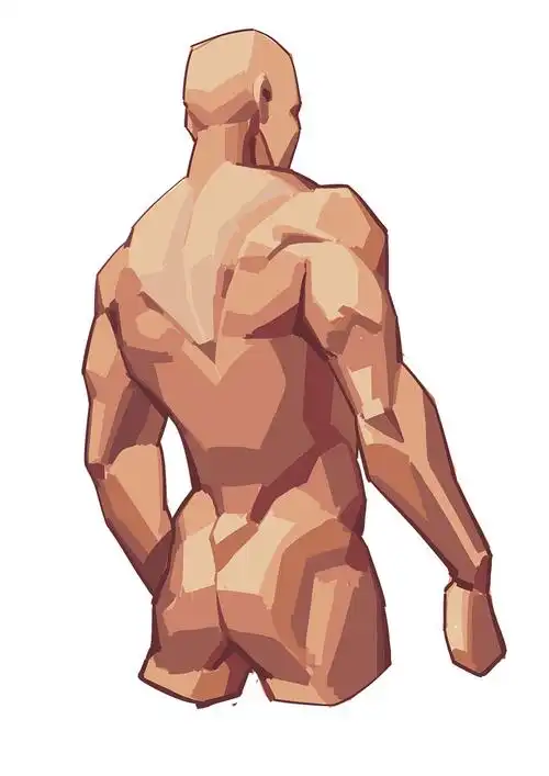 男性躯干怎么画?分享一组素材