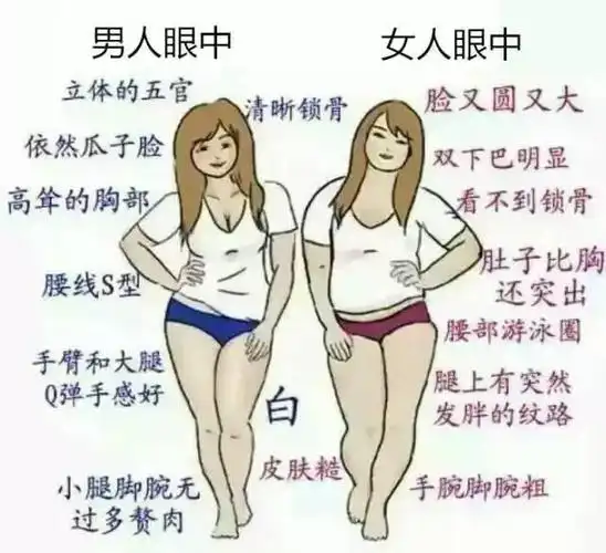 在男生和女生眼中,微胖的差别太大了