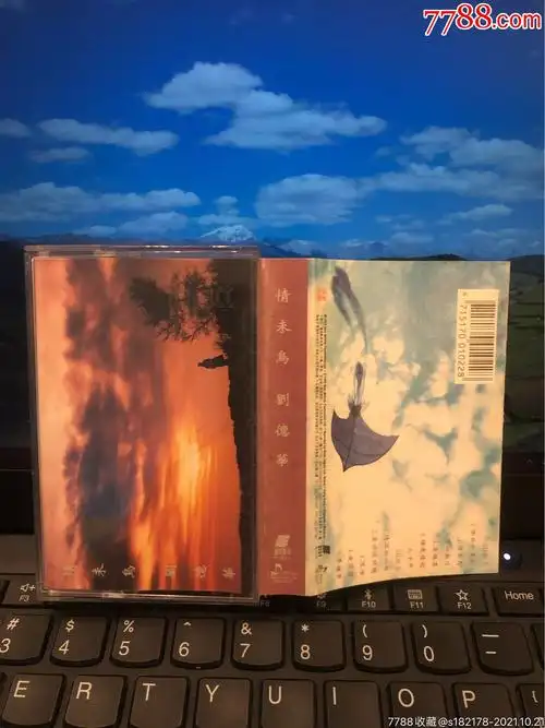 刘德华情未鸟台湾艺能动音原版