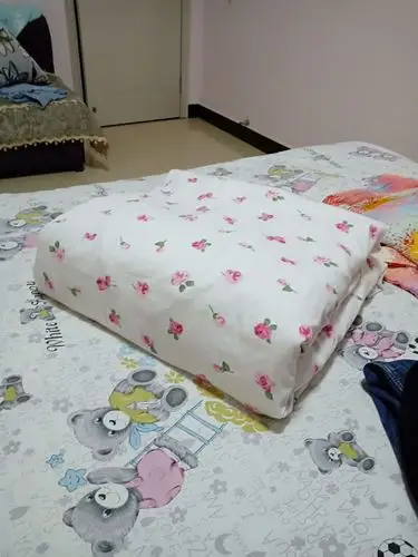 豆腐块 国色天香