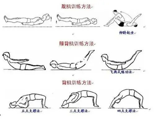 腰背肌锻炼时可以俯卧床上,去枕,双手背后,用力挺胸抬头,使头胸离开床