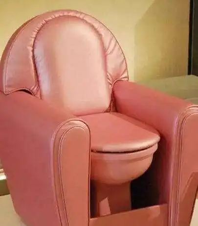 史上最奇葩的马桶你想体验哪一款