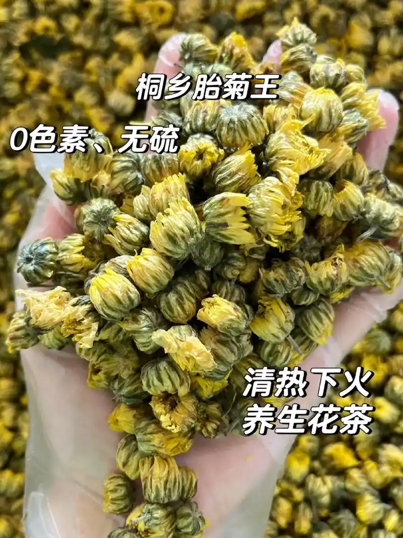 夏日炎炎,来杯胎菊茶降降火!   - 抖音