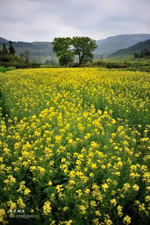 中国最美丽乡村-江西婺源(山水风光篇)