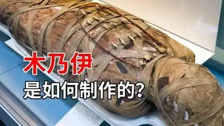 木乃伊制作(木乃伊制作过程动画片)