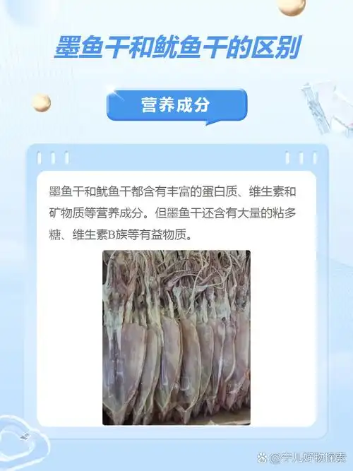墨鱼干和鱿鱼干的区别 墨鱼干和鱿鱼干,哪个更美味?