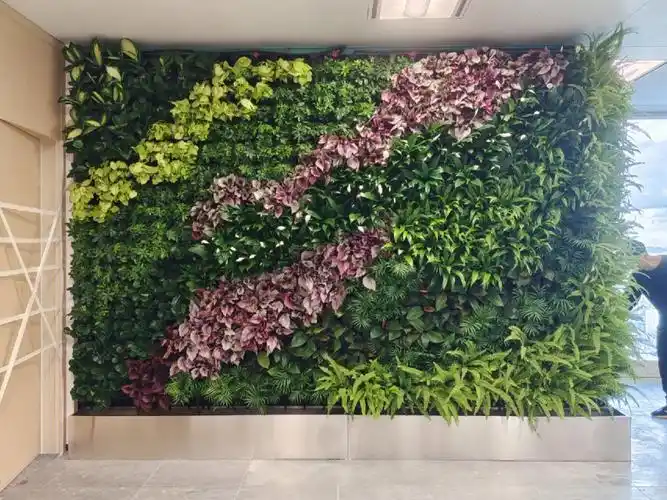 植物墙
