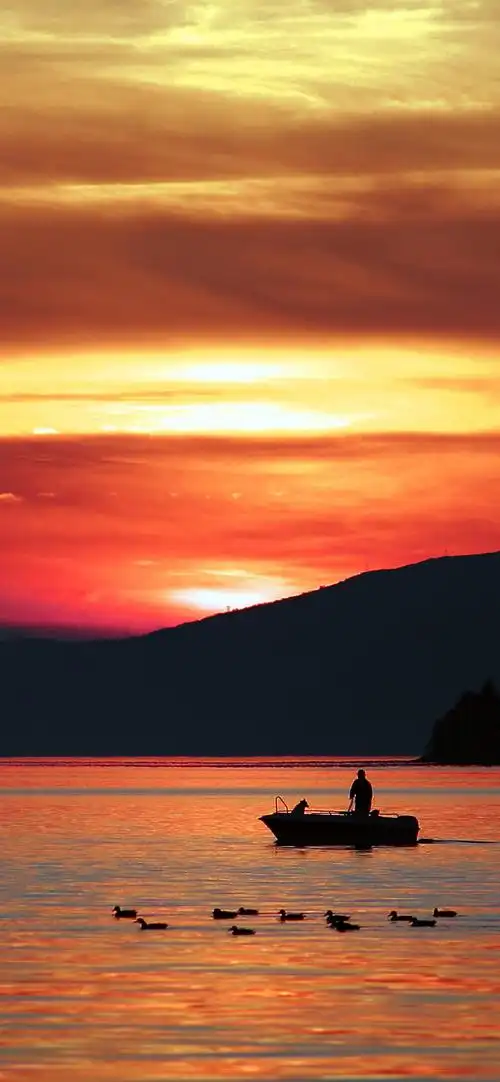 夕阳,石头上的雪高清