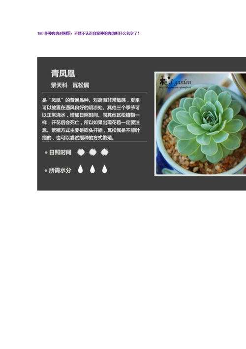 150多种多肉植物大百科分解.doc