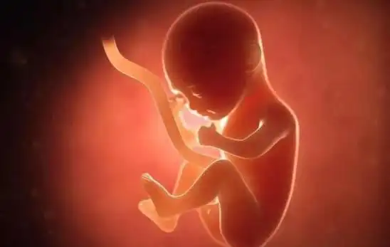 四维彩超怎么分辨男女(怀男孩的四维图片)