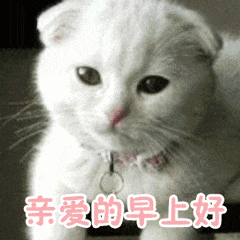 搞笑表情包-斗图表情包-表情包网站