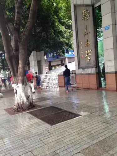 重庆市沙坪坝区树人小学校