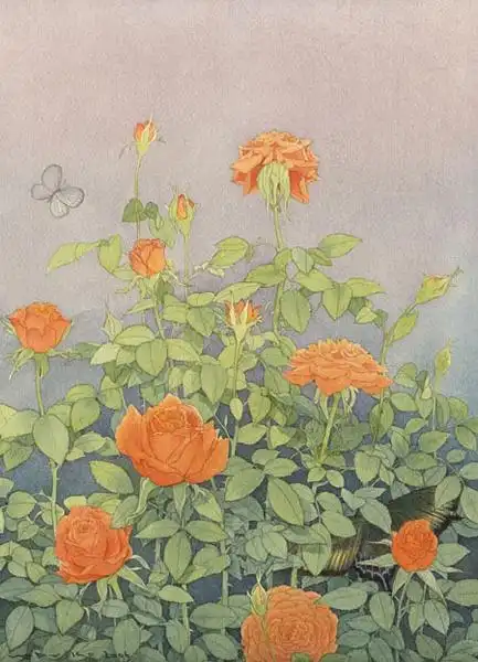 远行的相册-花花草草