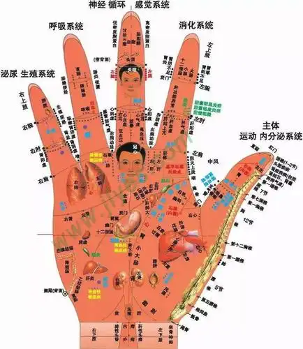 老中医一绝刮手指治百病98的人不知道