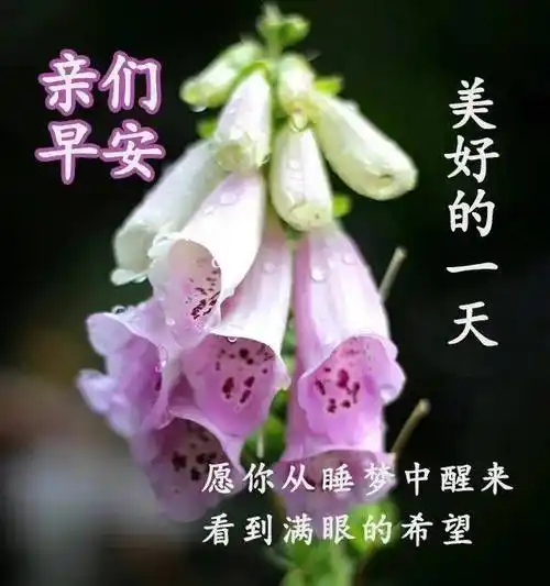 9张最有创意好看的春天早上好图片带字带祝福语 2023春天早安问候祝福