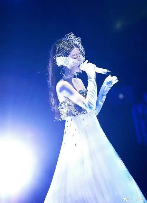 想看女歌手演唱会造型