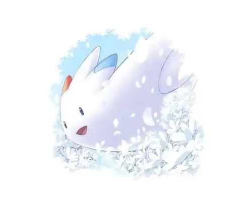 精灵宝可梦奇闻趣事30另一位白色恶魔疾风之翼的传说