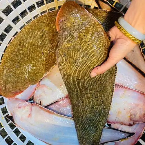 海鲜精选东山海鲜61野生活鲜龙利鱼顺丰冷链肉质以嫩出名没有小刺