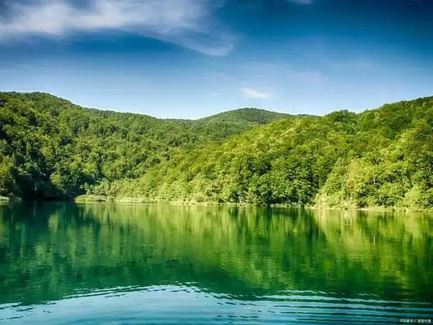 好运连连,财富亨通:三生肖的吉祥之道