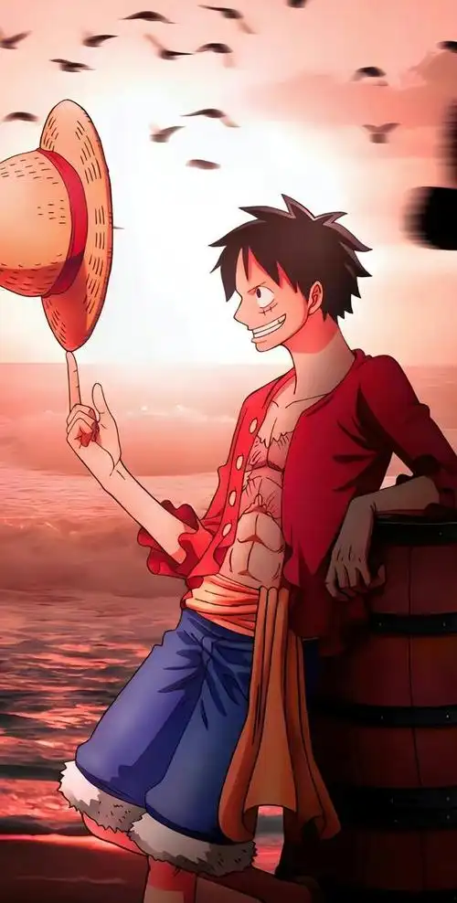 海贼王 海贼壁纸 欢迎取图 此生不悔入海贼