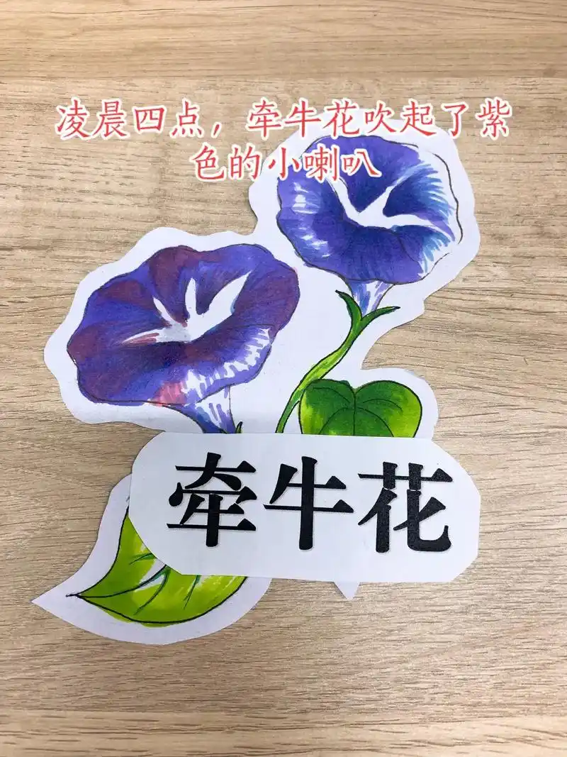 花钟板书#手工画的这么美的画,真是太喜欢,太用心了!#教资 - 抖音