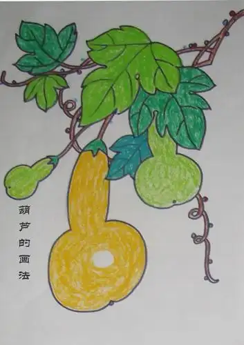 葫芦的画法完成稿