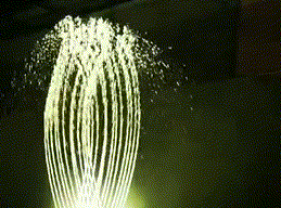 259_192gif 动态图 动图