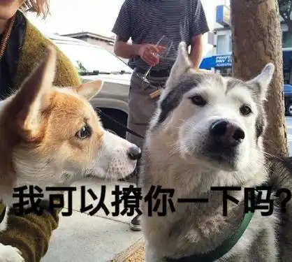 异性恋爱太辛苦,所以我建议你搞基#熊本熊表情包#_熊本熊_神转