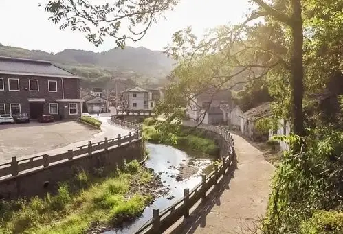 城乡争优丨奉化沙堤村:精品花木迎客来