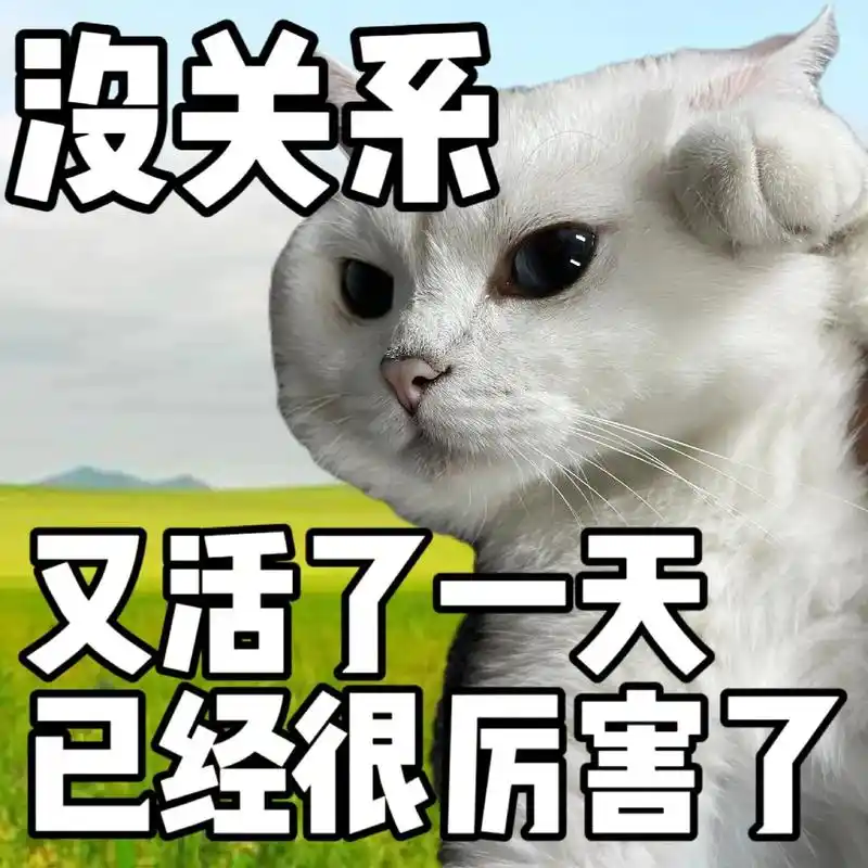 猫咪表情包大赏 #萌宠出道 - 抖音