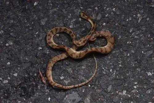 【你好!大自然】第169期:南岭夜观记(上)