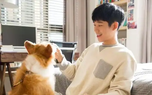 31岁仍是小鲜肉丁海寅新剧再搭漂亮姐姐能否继续爆红