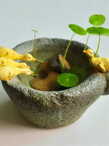 真自在创意个性铜钱草水培花盆