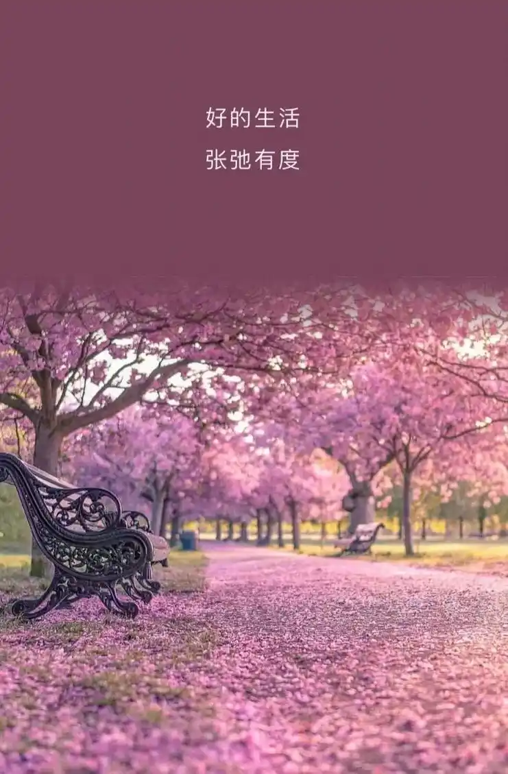 把生活过成有意义的每一天就是人生最好的状态无论是忙碌的时间生活是