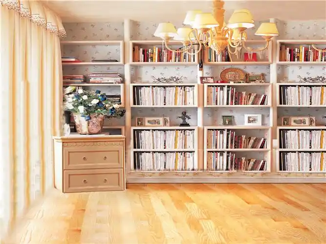 书架背景布新款网红抖音直播主播背景布3d室内书架书房办公室定制大气