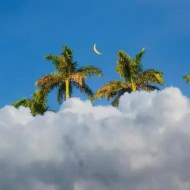 2021男人好运头像 微信好运吉祥男生头像图片