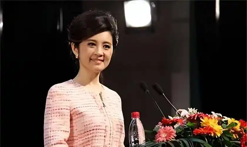 与原配摊牌后离婚,2个孩子都归前妻_丁健_许戈辉_肖桦