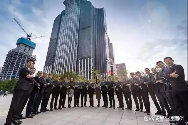 更多的是商业用途,比如公司的团队合影形象照,能够很大程度地影响企业