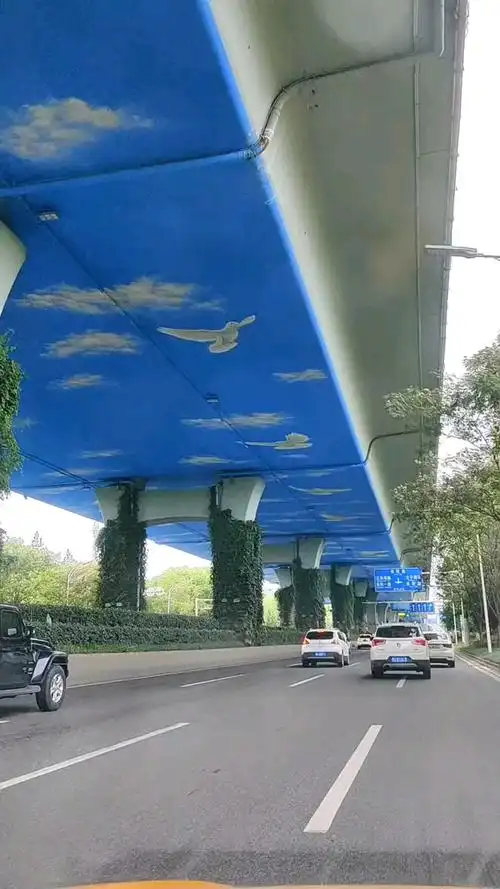 武汉:最美高架桥,东风大道.