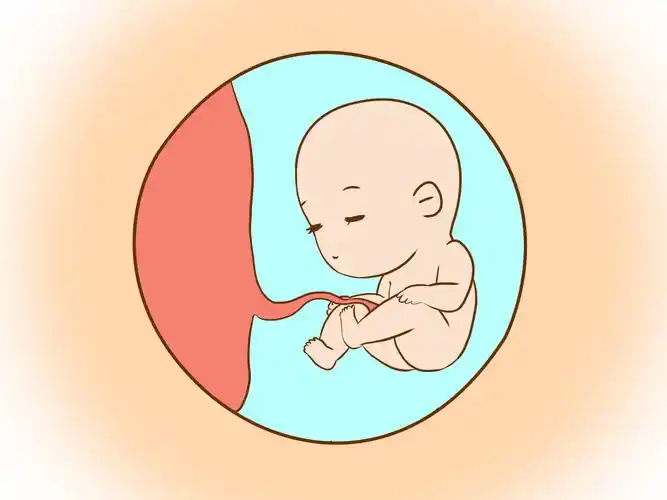 孕后哪个阶段胎儿易出现危险什么时间能检查出来干货在这里