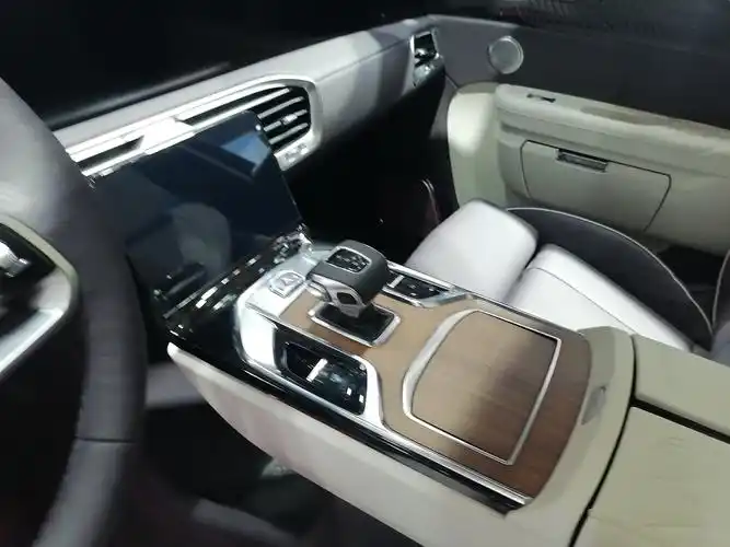 北京车展实拍|红旗e-hs9亮相并开启预售 定位大型纯电suv_搜狐汽车