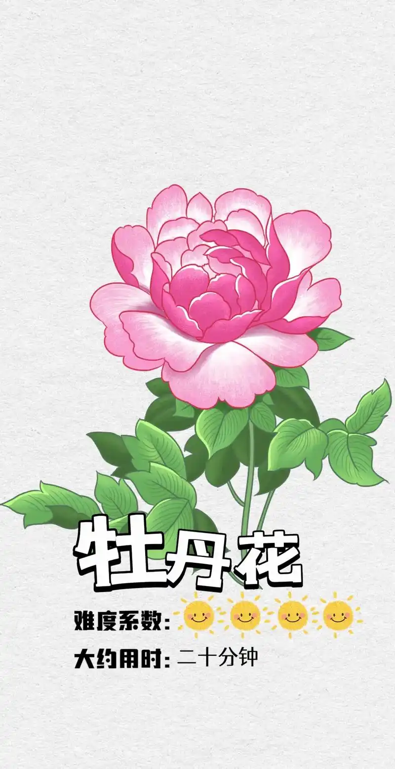 一看就会的简笔画.#原创作品 怎样画一朵漂亮的牡丹花9696 - 抖音