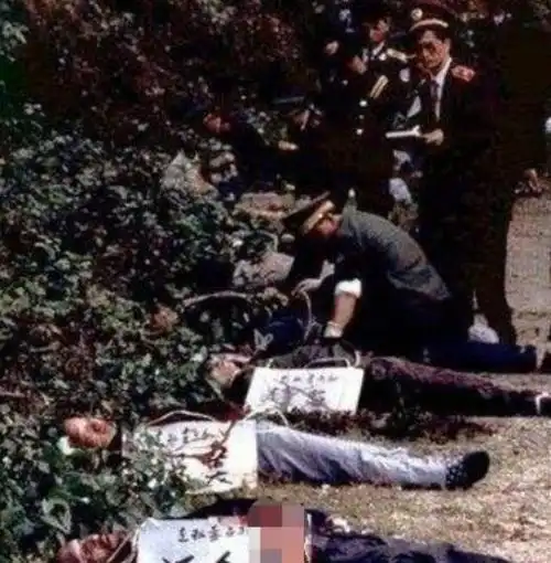 而若是在审判过后被定为死刑犯者就会被执行枪决,而此时我们看到的就