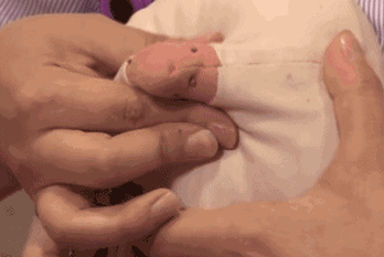 367_246gif 动态图 动图